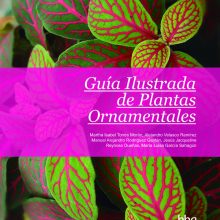 Guía Ilustrada de Plantas Ornamentales