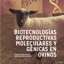 Biotecnologías reproductivas, moleculares y génicas en ovinos